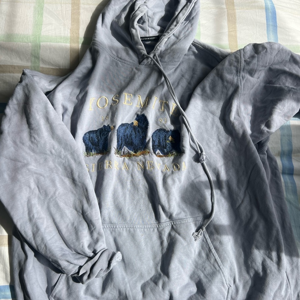 brandy melville hoodie